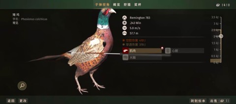 ֮Ұ 5ͼ
