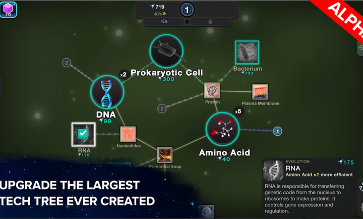 17567796193576
