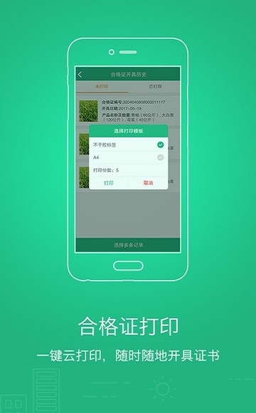 17567164676626