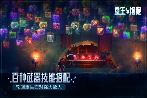 resize,w_480,m_lfit (11)