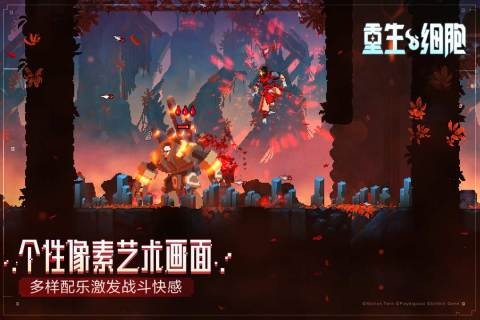 resize,w_480,m_lfit (9)