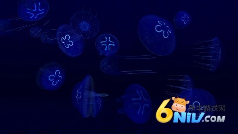 17591267078952_water