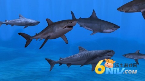 17591267033185_water