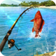 ʵģ