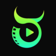 ţ