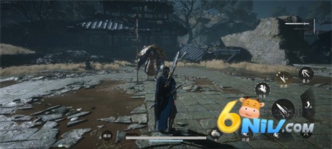 ʮֻ 5ͼ