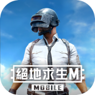 PUBG3.9