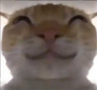 ͵ģ