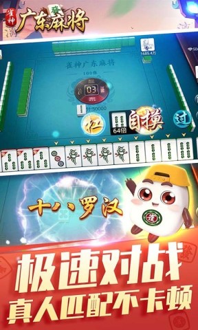 17605270937437