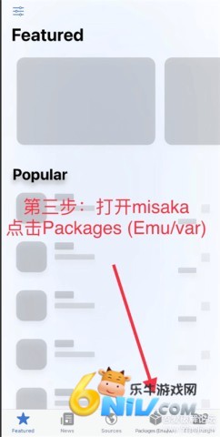 巨魔trollstore 第6张图
