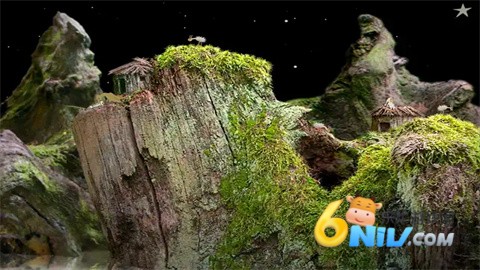 17613751801229_water