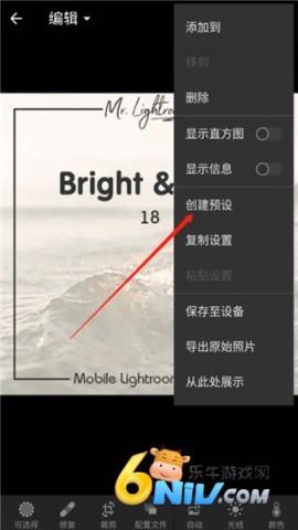 lightroom移动版 第9张图