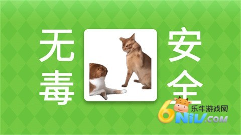 女巫的毒药猫meme版 第7张图