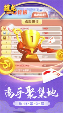 17605174305629