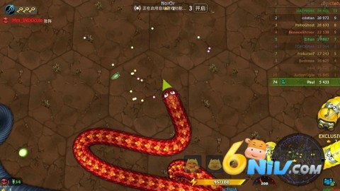 17573096562024_water