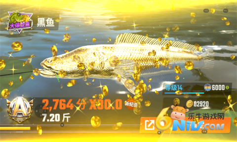 17612263521721_water