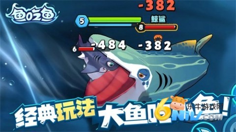 17612264445661_water