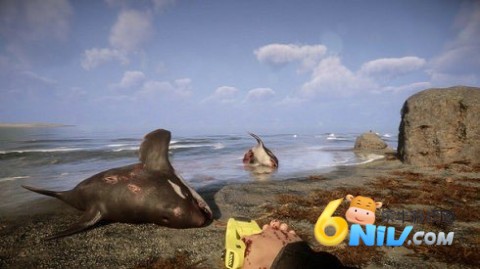 17623956197434_water