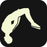 շ2ʽ棨Backflip Madness 2