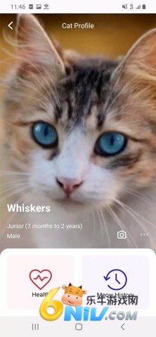 17628646436097_water