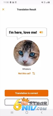 17628646416464_water