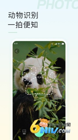 智能拍照识物 第2张图