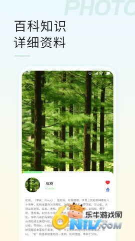 17606276394185_water