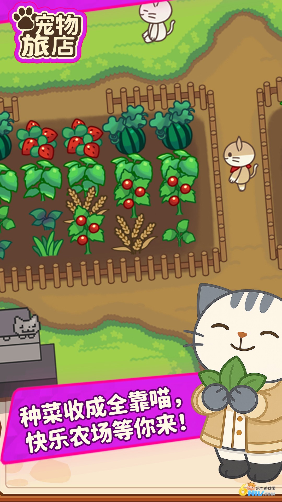 17636056537943_water