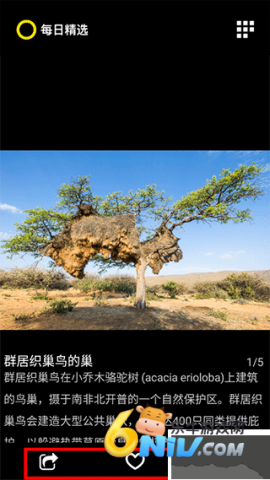 每日精选 第2张图