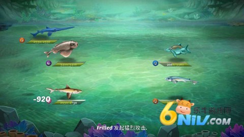 鲨鱼世界 第3张图