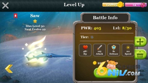 鲨鱼世界 第1张图