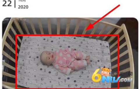 海马爸比电视版 第9张图