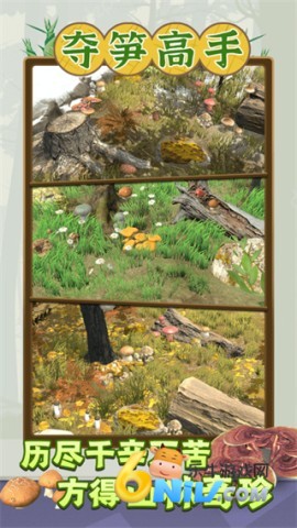 17646728926222_water