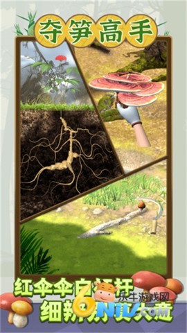 17646729269175_water