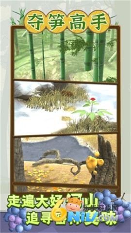 17646729245529_water