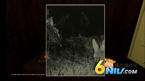 17651407569899_water