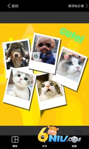 照片拼图 第2张图