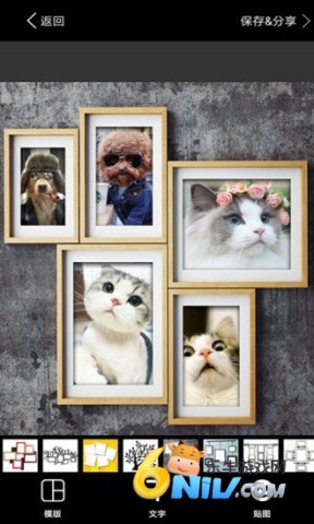 17633031468778_water