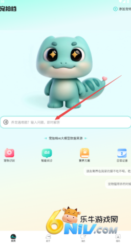 宠拍档 第3张图