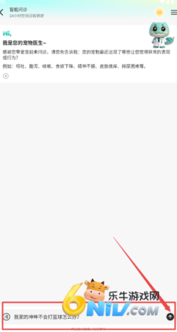 宠拍档 第4张图