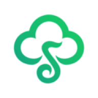 �ſ�������