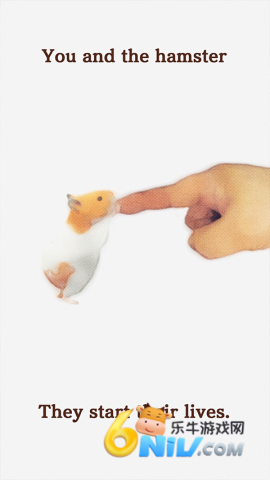 17631464521659_water