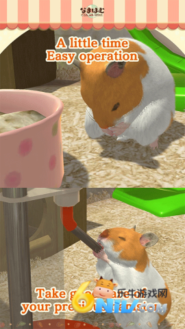 17631464543902_water