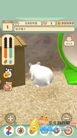 17631464598955_water