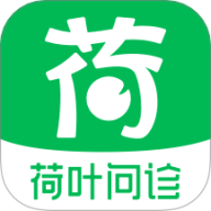 ��Ҷ����