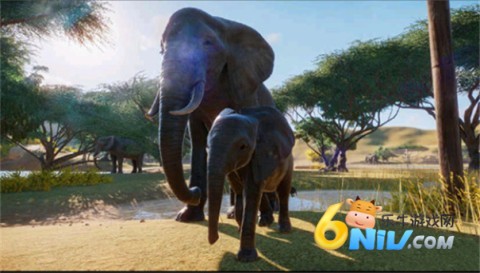 17662064294192_water