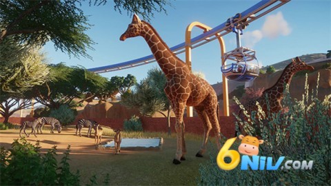 17662064325784_water