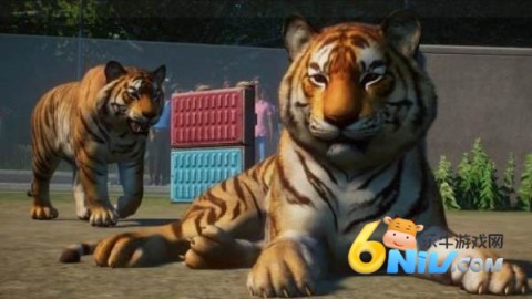 17662064629952_water