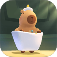 ��Ƥ������һ��