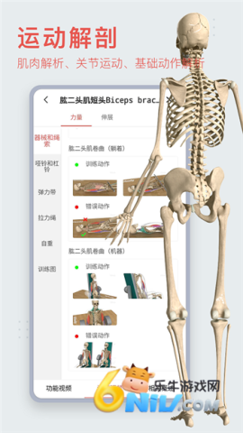 3Dbody������Ѱ� ��2��ͼ